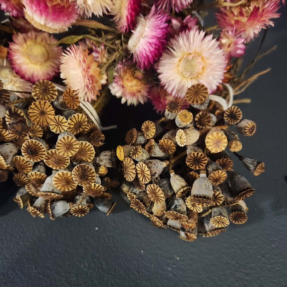 6 Little Real Dried Pod And Flower Bouquets. - Picture 5 of 9